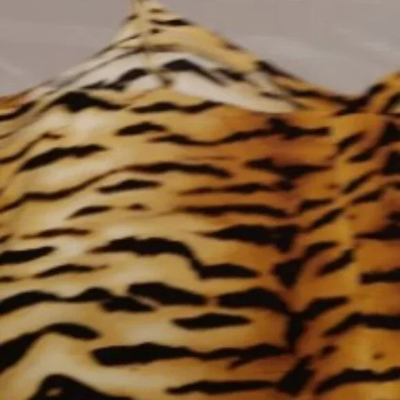 Tiger Striped Tank Top Women's 3XL Cropped w Adjustable Spaghetti Straps Cropped - Picture 9 of 10